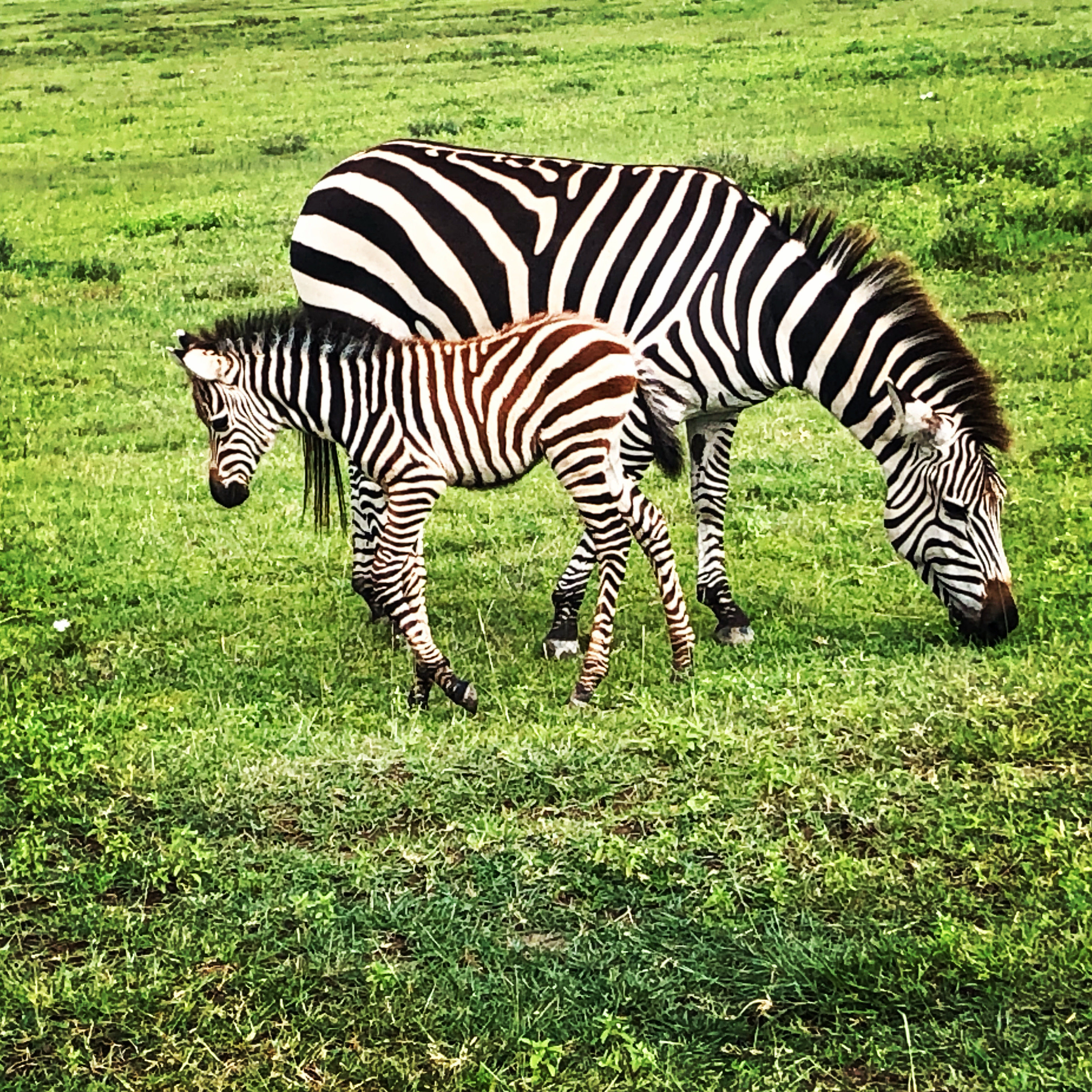 5F4E705B-0D71-4CF3-B693-DA4E4A12E3EC